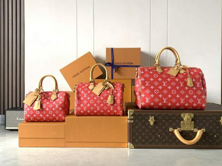 Picture of Louis Vuitton Handbags _SKUfw225969558fw